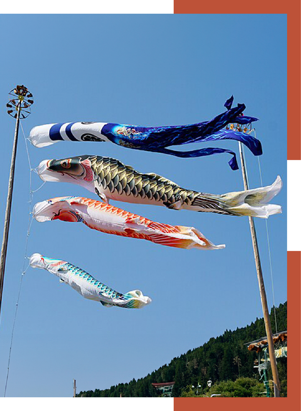 KOINOBORI